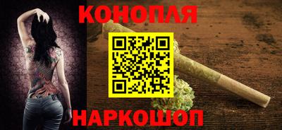 гашик Нальчик